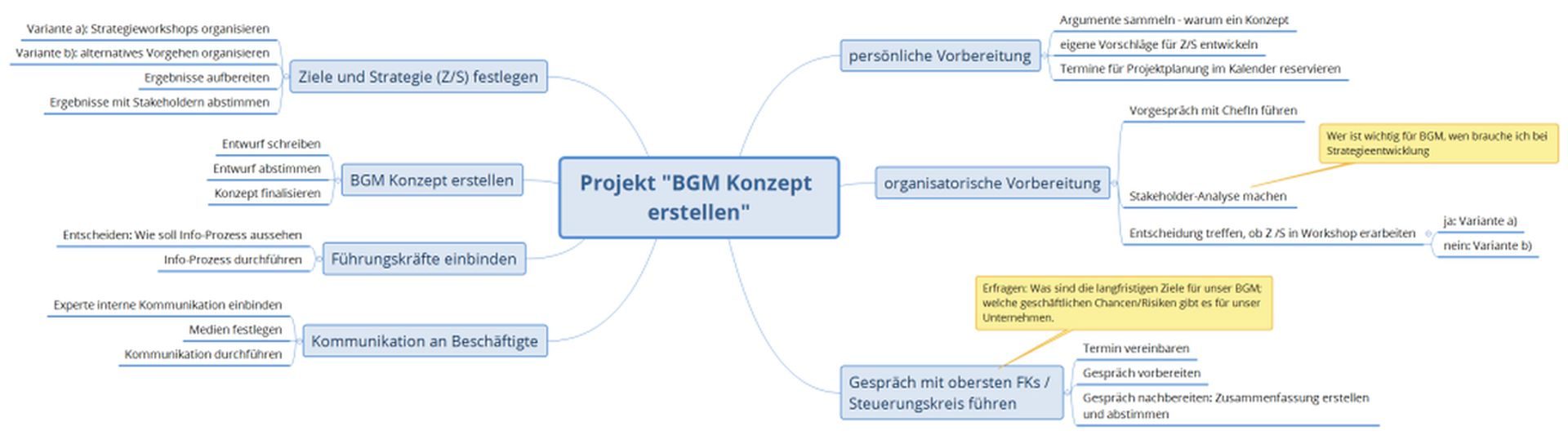 mindmap-projekt-bgm-konzept